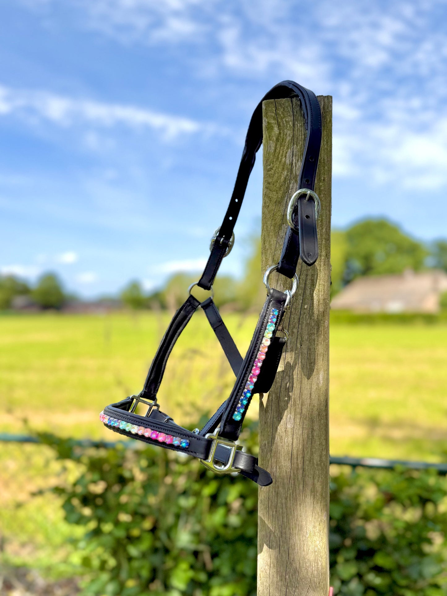 Lederen halster ‘Rainbow Road’ met regenboog strass