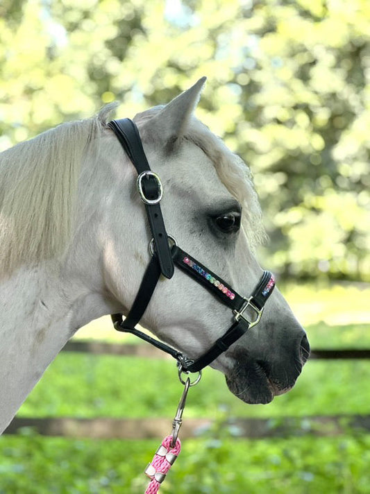 Lederen halster ‘Rainbow Road’ met regenboog strass