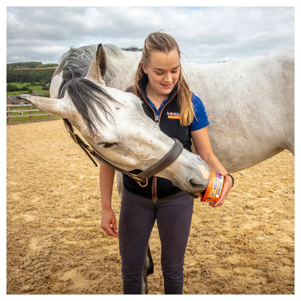 Horslyx - Liksteen Horslyx mini