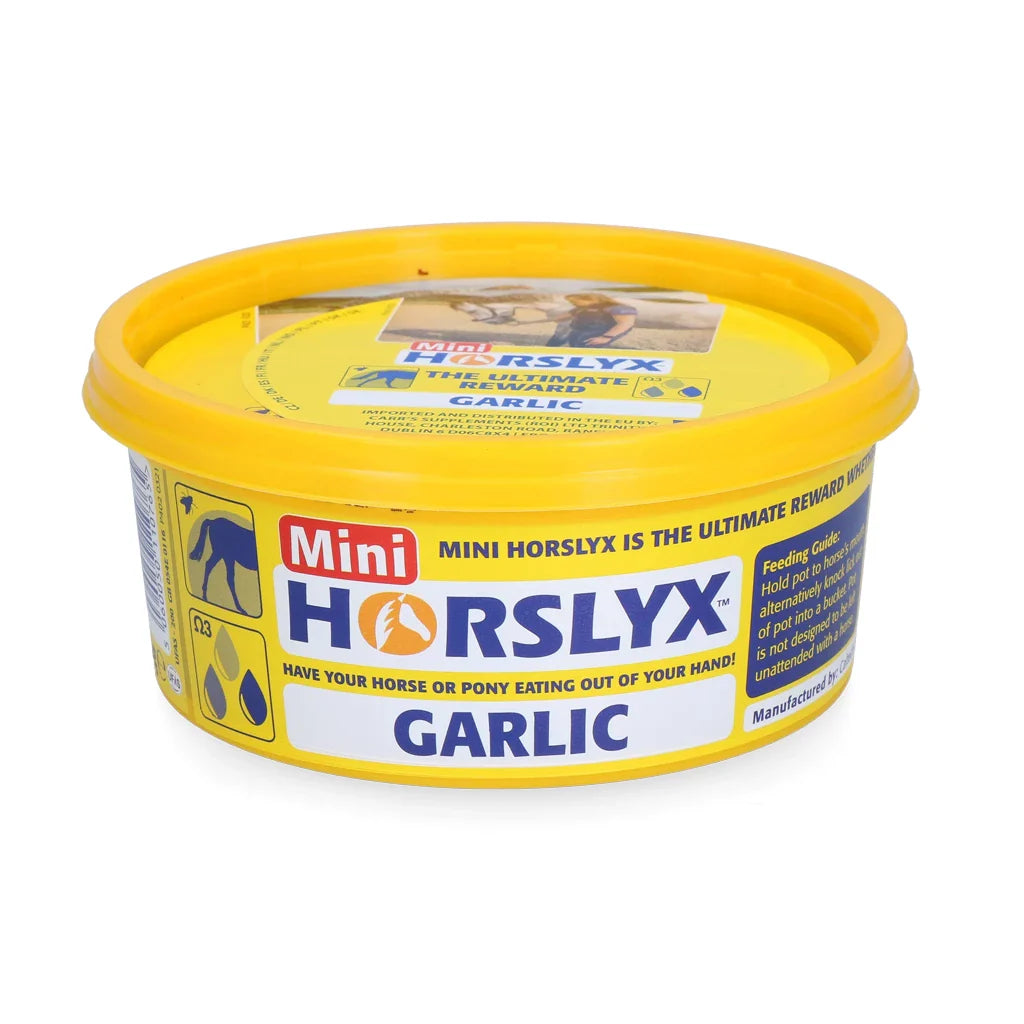 Horslyx - Liksteen Horslyx mini