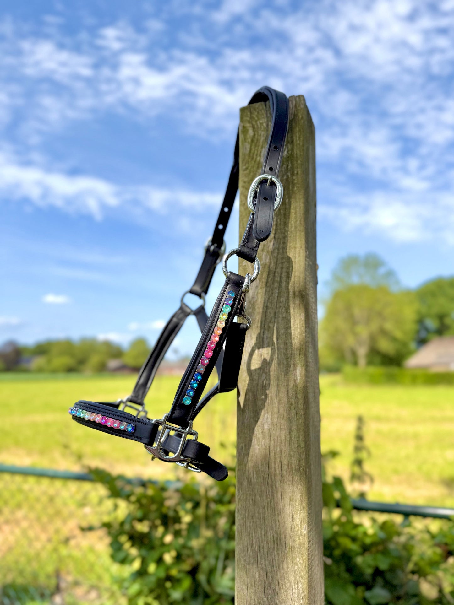 Lederen halster ‘Rainbow Road’ met regenboog strass