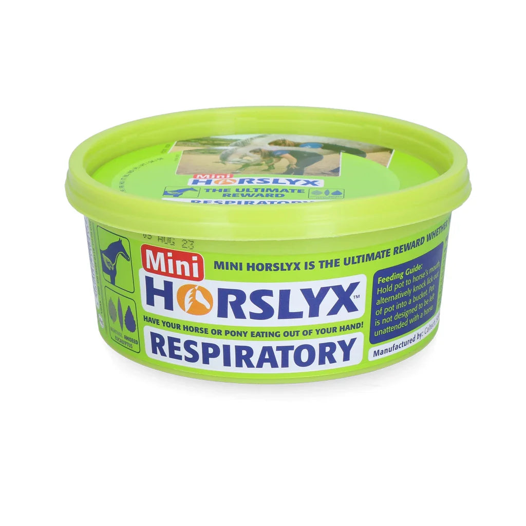 Horslyx - Liksteen Horslyx mini