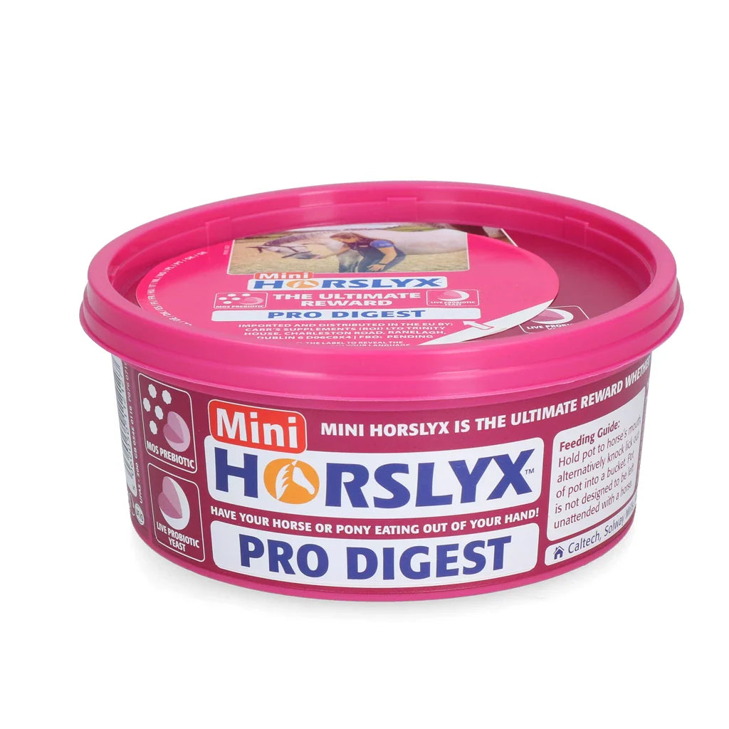 Horslyx - Liksteen Horslyx mini