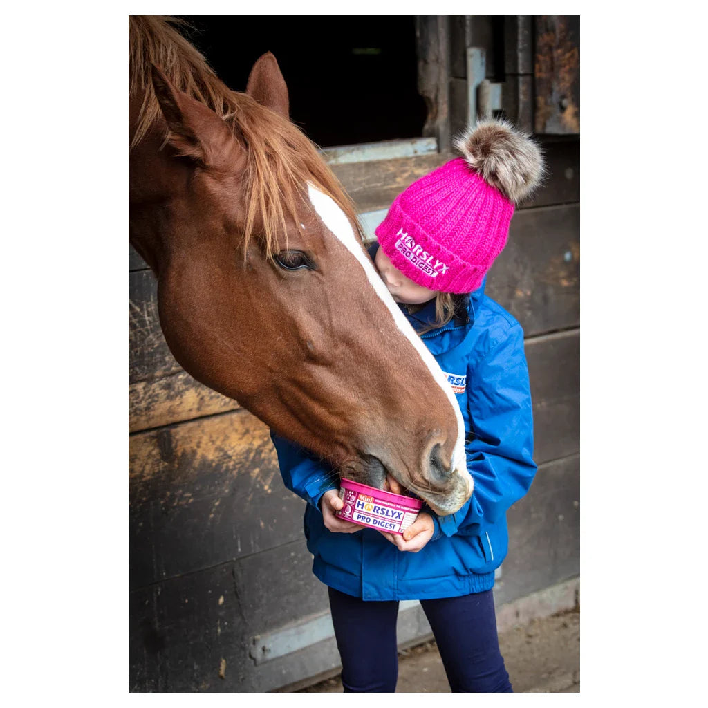 Horslyx - Liksteen Horslyx mini