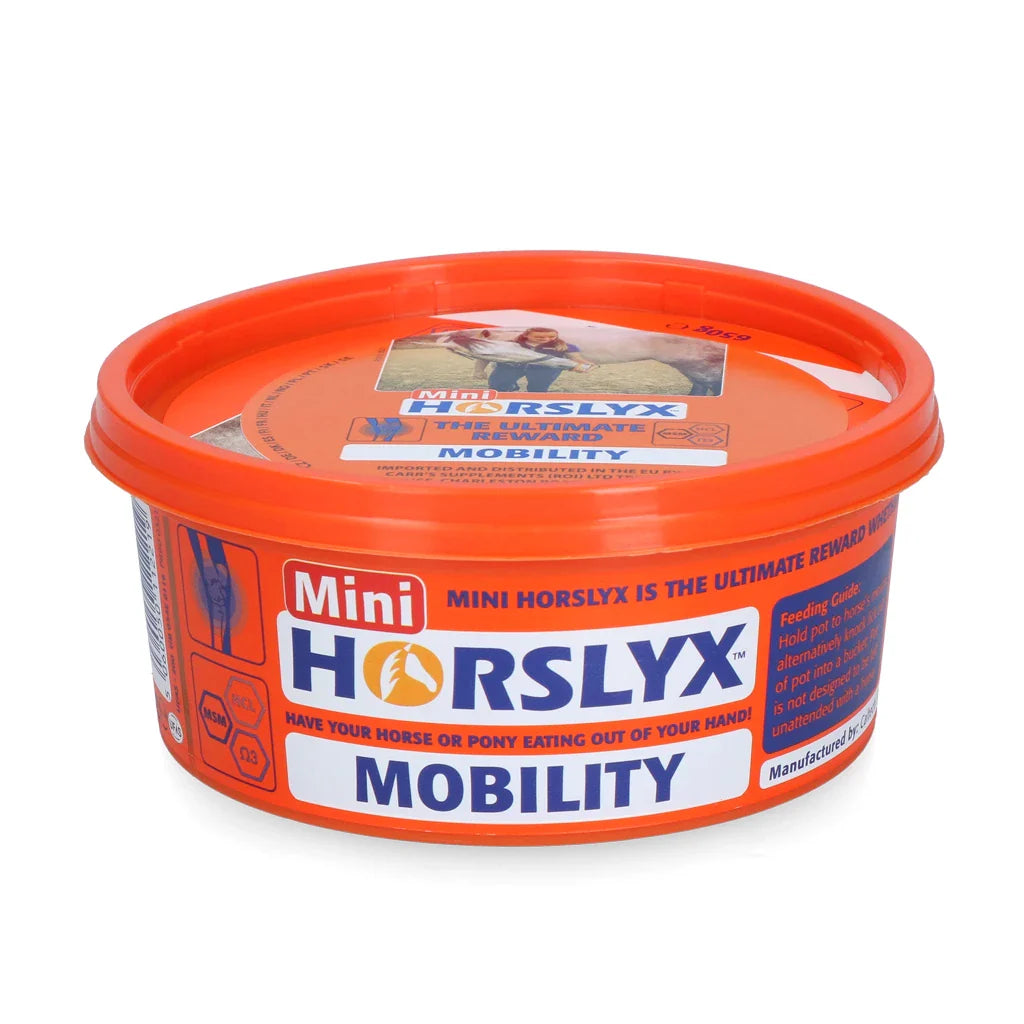 Horslyx - Liksteen Horslyx mini