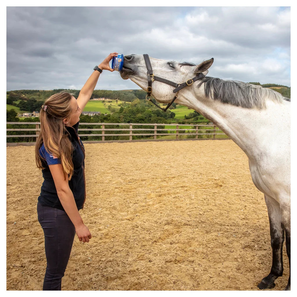 Horslyx - Liksteen Horslyx mini