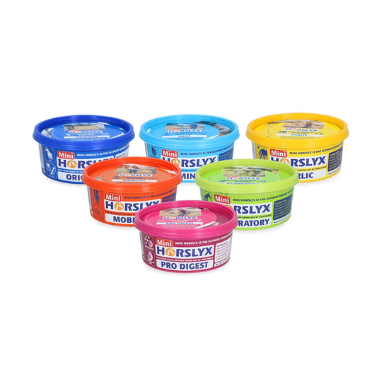 Horslyx - Liksteen Horslyx mini